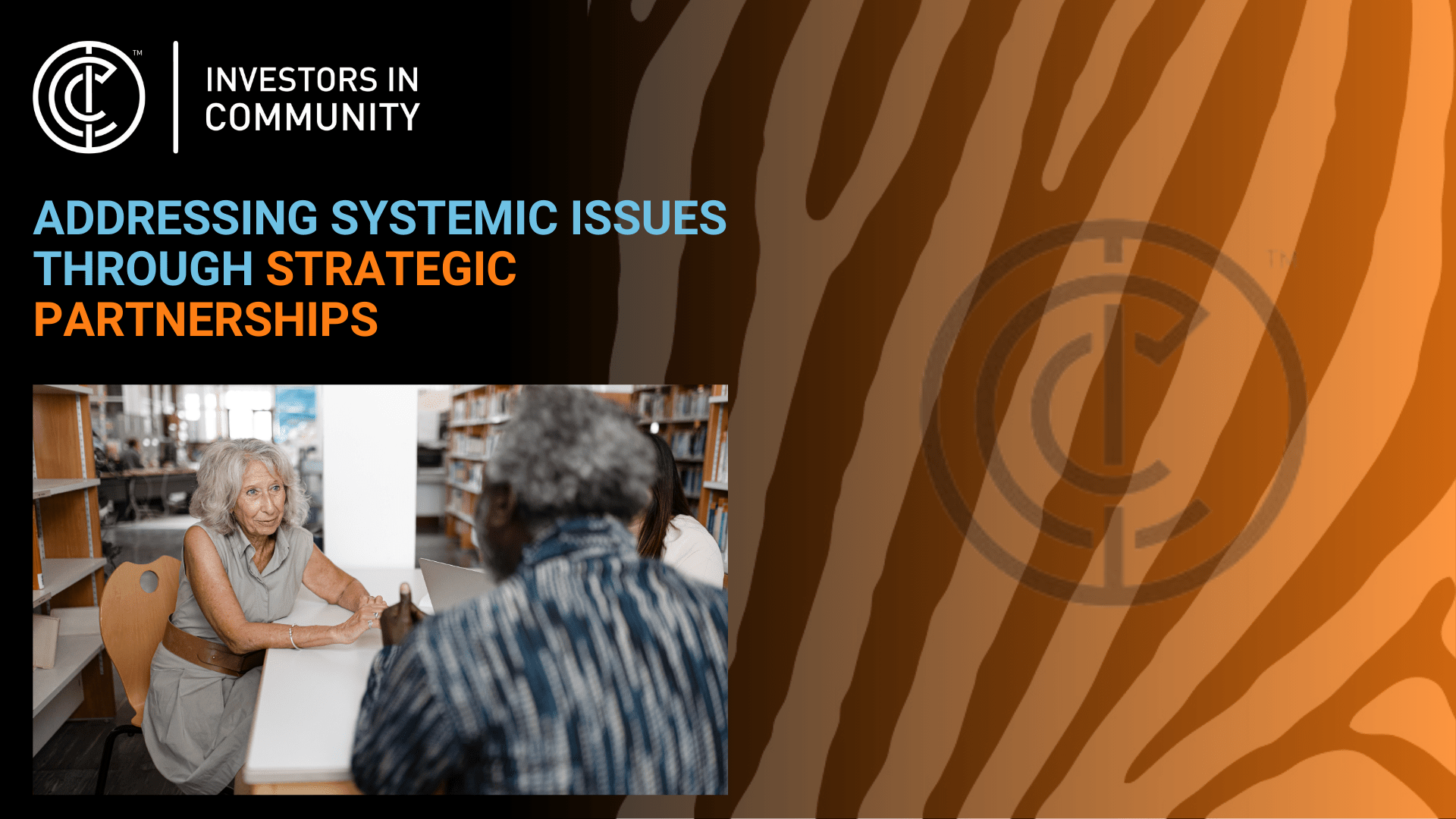 Addressing systemic issues through strategic partnerships