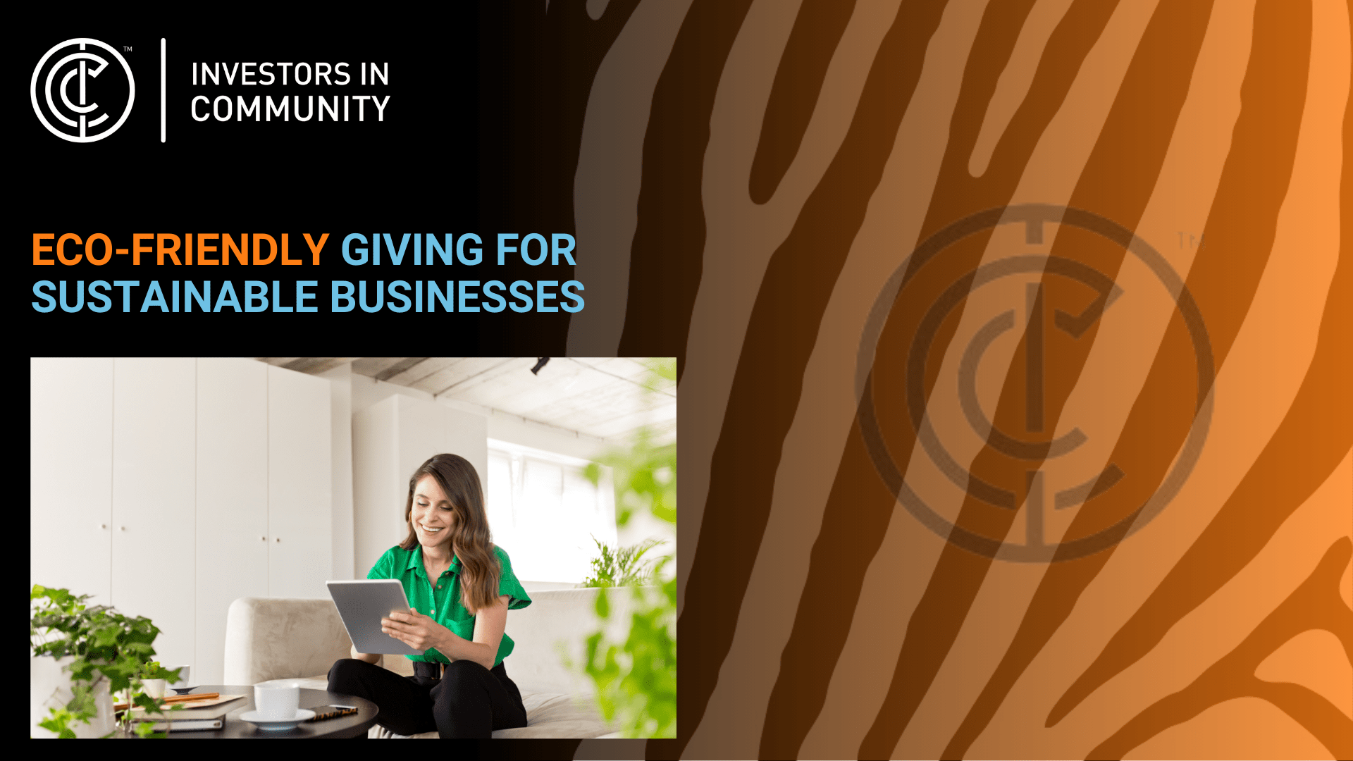 Eco- friendly giving for sustainable businesses