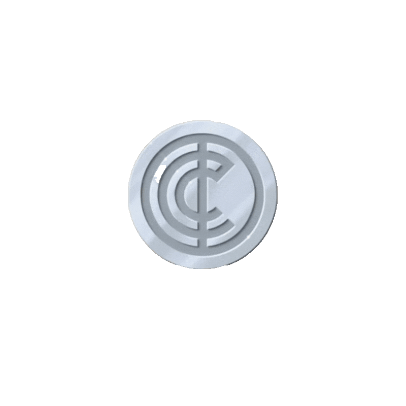 Spinning Community Credits icon representing verified social impact on the Investors in Community platform